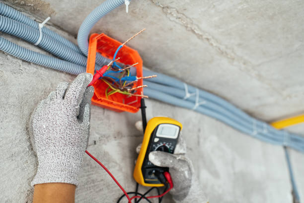 Best Electric Panel Repair  in Hammonton, NJ
